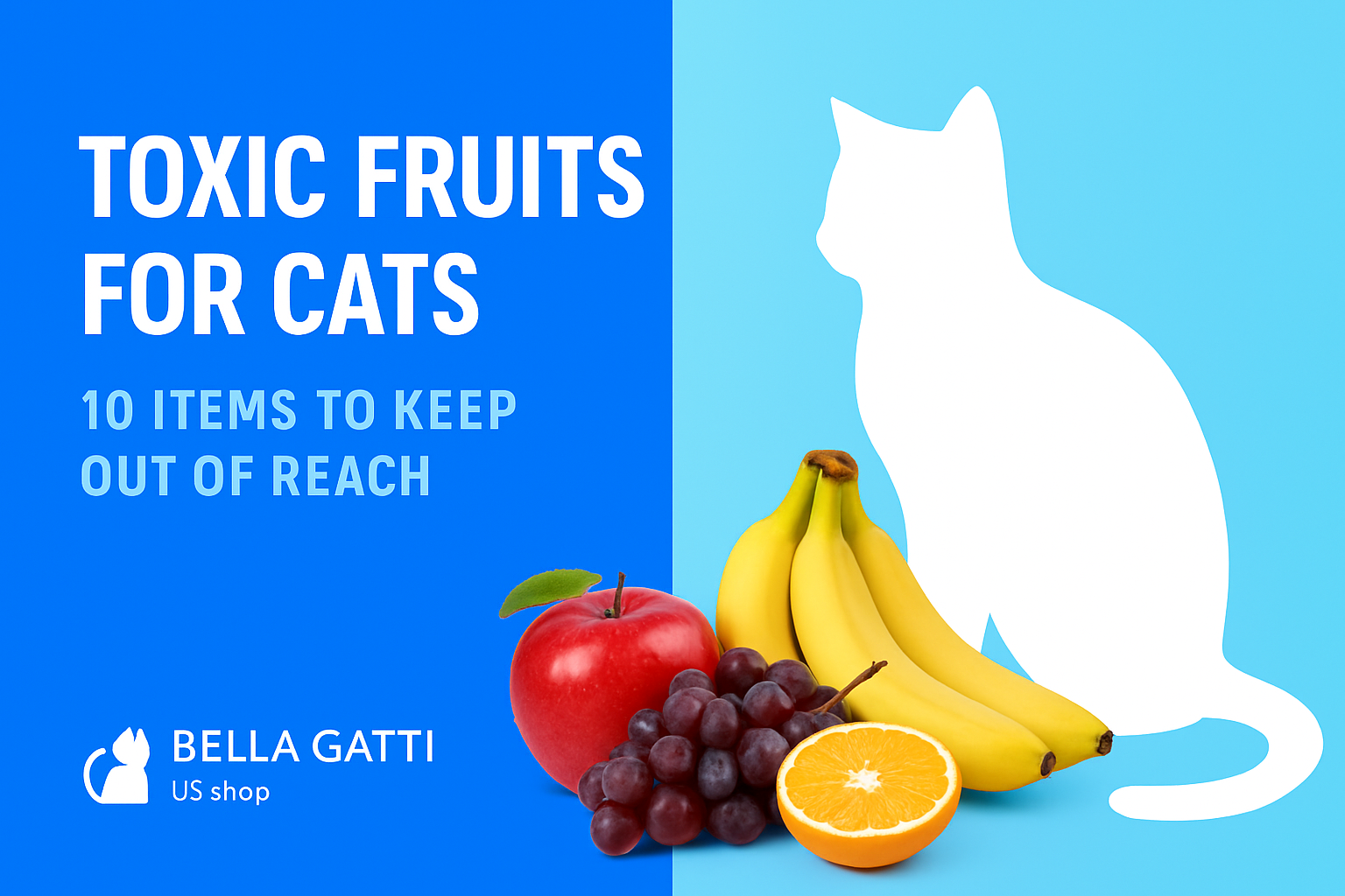 Cat sniffing fruit bowl with grapes and citrus