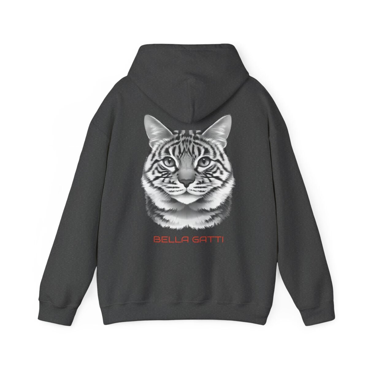 3078494665276233242_2048.jpeg Dark grey hoodie with a striped cat head graphic and "BELLA GATTI" text on the back.