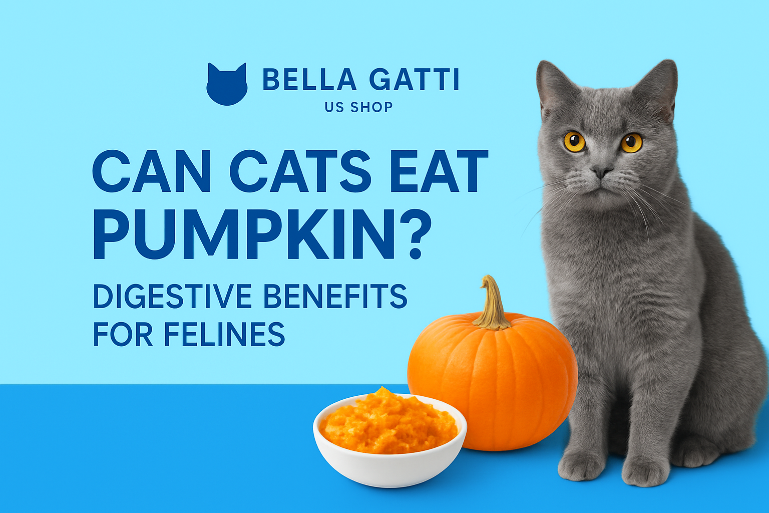 Cat eating plain pumpkin from a small bowl