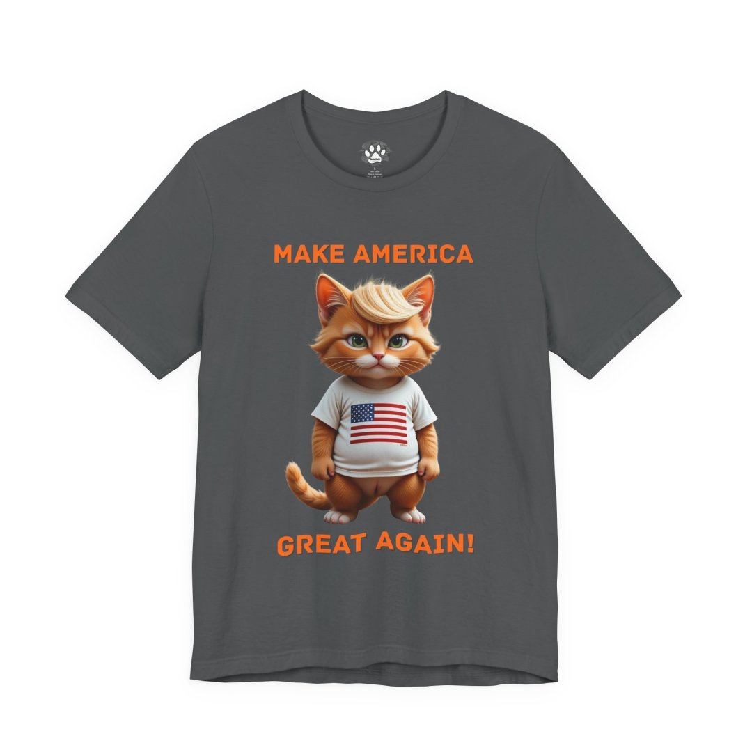 12566654393401905621_2048.jpeg Gray T-shirt with a cartoon cat wearing an American flag shirt.