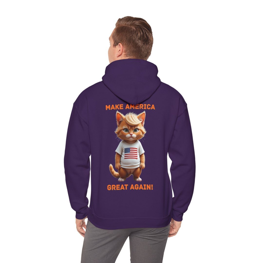 14359008767841112099_2048.jpeg Patriotic Cute Cat Graphic Hoodie - Image 25