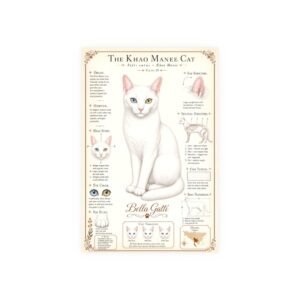Khao Manee Cat Breed Poster Khao Manee Cat Breed Poster