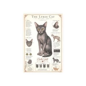 Khao Manee Cat Breed Poster Lykoi Cat Breed Poster